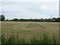 Farmland, Pollington