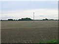 Farmland off Lowgate