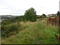 Field path, Almondbury.