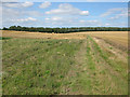 Bridleway towards Venson Bottom