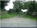 Track to the fields, near Little Newcastle