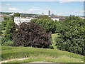 Panorama from Dane Tower