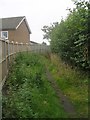 Footpath - West End Grove