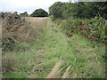 Footpath towards Freebirch