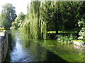 River Test, Wherwell