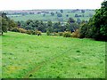 Footpath from Holy Well to Chapel Walls, Wolsingham