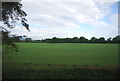 Arable field between Stane Street and the Arun Valley Line