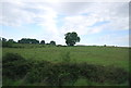 Farmland near Pulborough