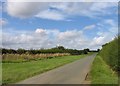 Towards Waltham on the Wolds