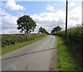 Towards Wymondham