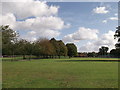 Track in Elham Park South