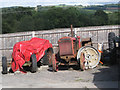 Old tractors 