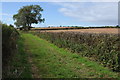 Bridleway near Newbarn Farm