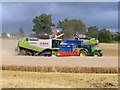 Harvesting Wheat Near North Lodge, Chirnside