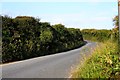 The road to Padstow