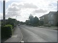 Hodgson Lane - viewed from Whitehall Grove