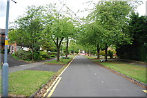 SP0485 : Tree lined, leafy suburb, Augustus Rd by N Chadwick