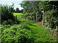 Footpath into field from bridleway near Mayor House Farm