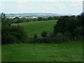 Fields near Mayor House Farm