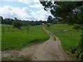 Footpath to Mayor House Farm