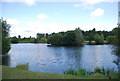 Albyn Farm Pond, Hornchurch Country Park