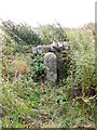 NZ0268 : Milestone on the Military Road (B6318) east of Halton Shields by Mike Quinn