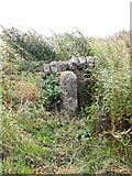NZ0268 : Milestone on the Military Road (B6318) east of Halton Shields by Mike Quinn