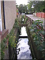 Swain Road: looking upstream at the crossing of the Norbury Brook