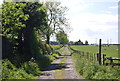 Track near Fieldholme