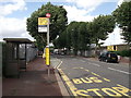 Tunnel Avenue Bus Stop