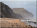 SY3792 : Sea shore with cliffs east of Charmouth by Trevor Littlewood