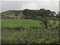 Abandoned farmsteads on the slopes of Craignamona