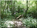 Footbridge in wood near Lower Hawksfold