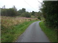 Road beside Mynydd Dimlaith Common