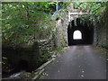 Southern entrance to tunnel under dismantled railway, Bedwas