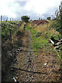 Cherry Lane bridleway