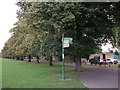 Green Chain Walk in Charlton Park