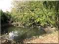 Small pond by Rookery Farm, Chippenhall Green