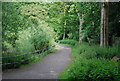 Footpath by Edgbaston Reservoir