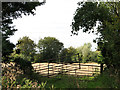 Improvised field gate, Chippenhall Green