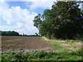 Field opposite Camer Park Country Park