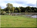 Lower Pool, Lymore Park