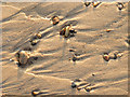 NJ1971 : Sand Patterns by Anne Burgess