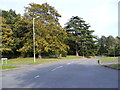 TM2750 : Bury Hill, Woodbridge by Geographer