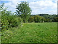 TQ6464 : Rural view near Meopham Green by Marathon