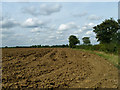 Deeply ploughed field