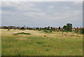 Grassland by the A4