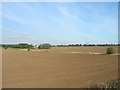 Farmland off Doncaster Lane