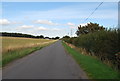 Single Track Road Near Seven Spouts Farm