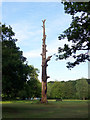 Remains of a Tree, Grovelands, London N14